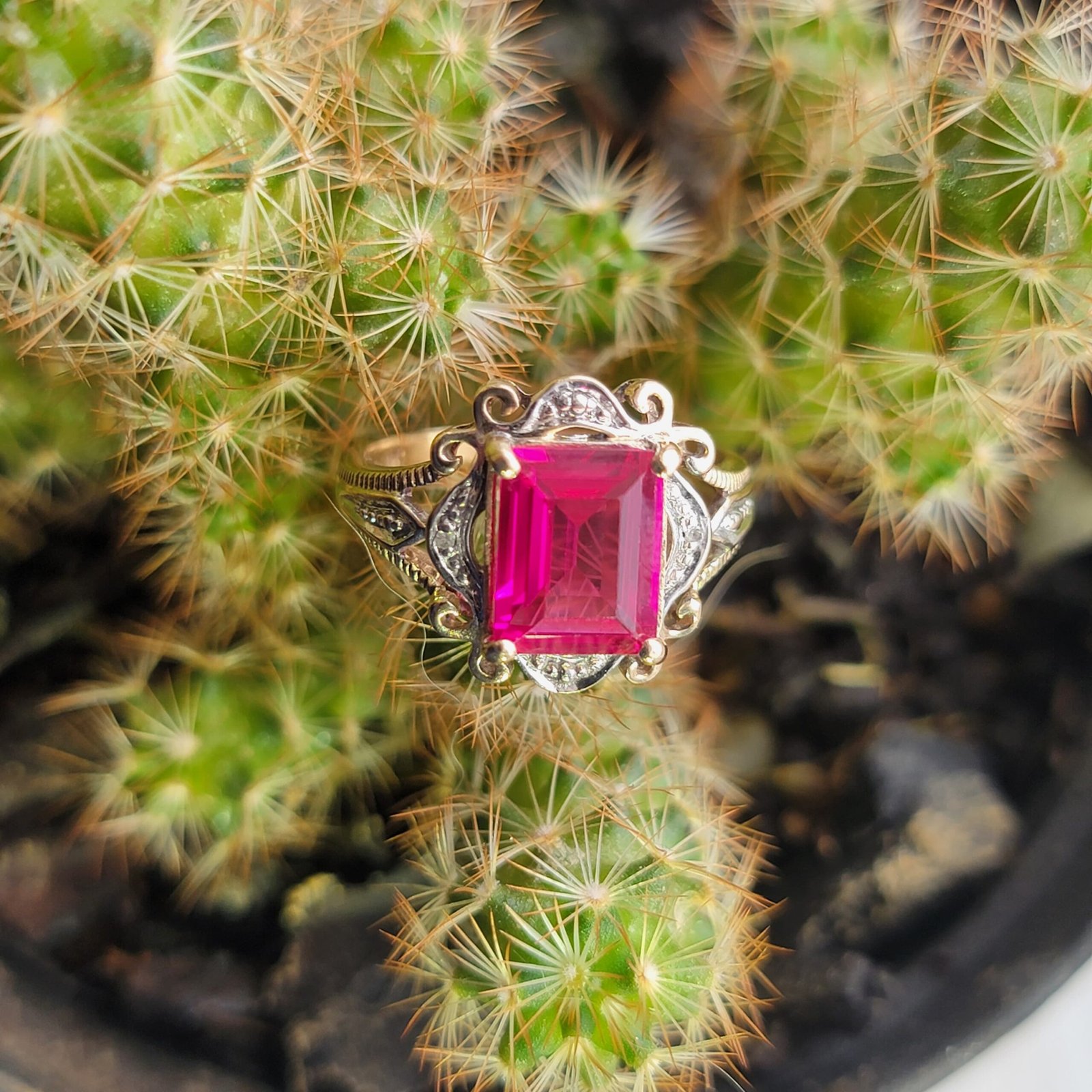 💎💍✨ Anillo en Oro Para Dama✨💍💎