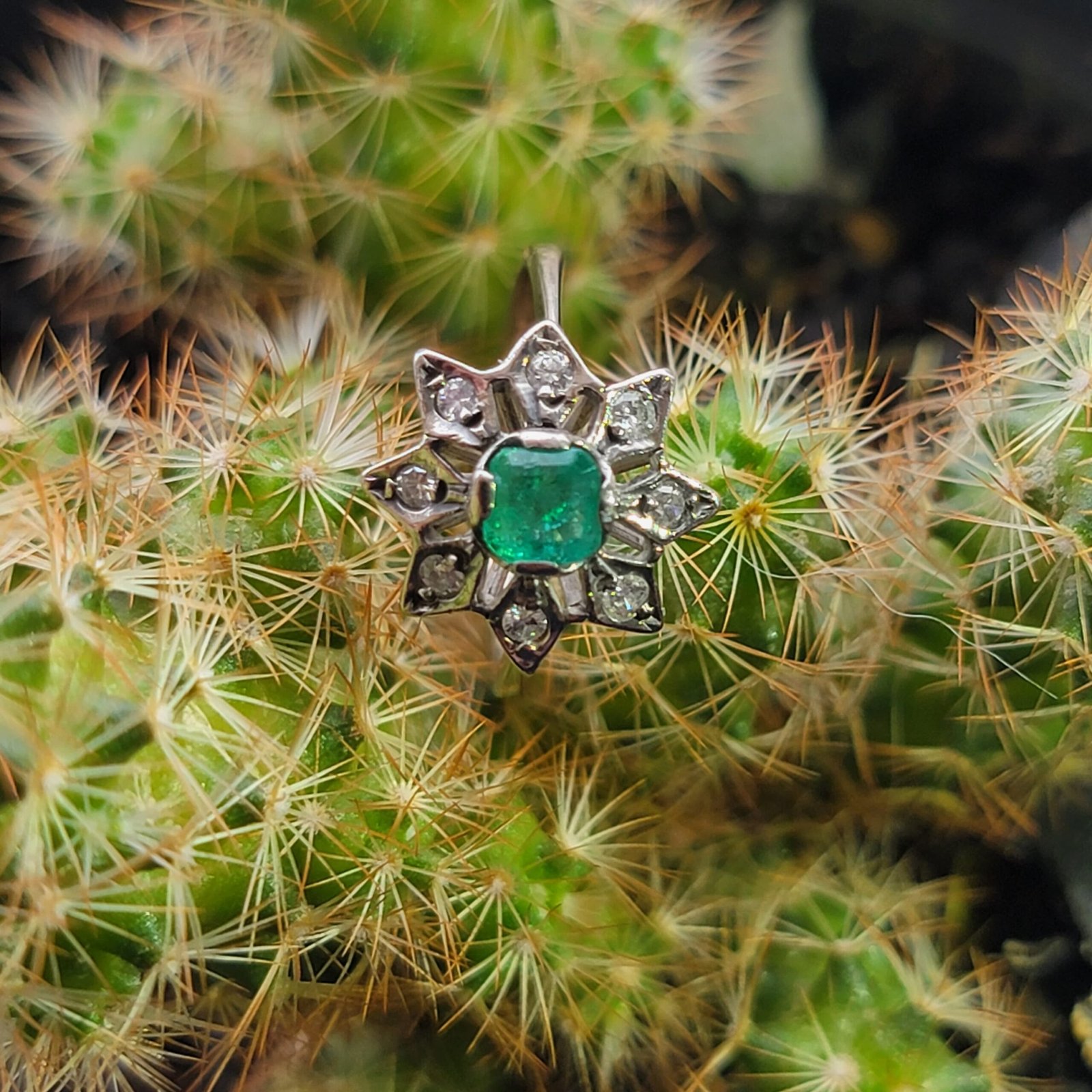 💎💍✨ Anillo en oro Para Dama✨💍💎 - Image 5