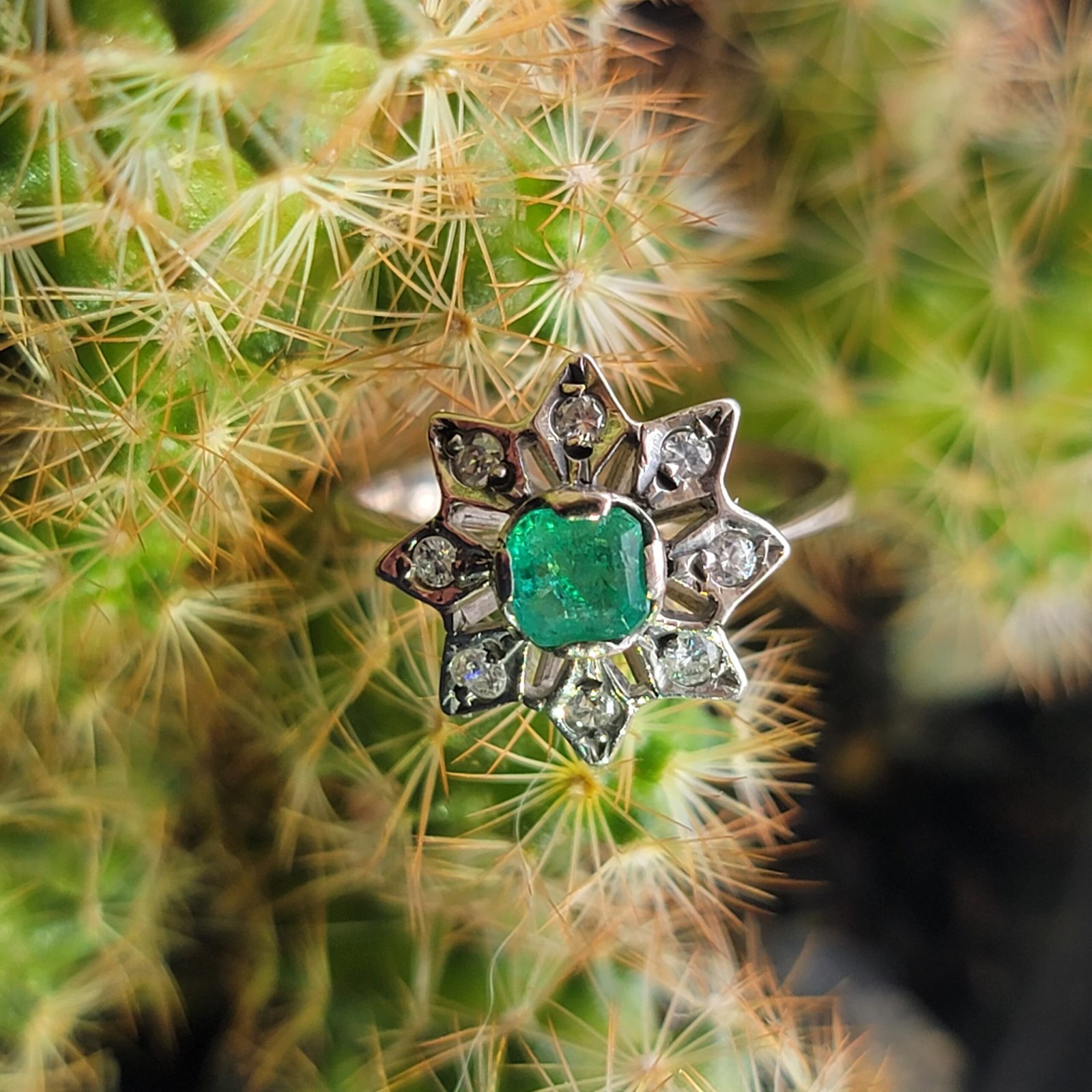 💎💍✨ Anillo en oro Para Dama✨💍💎